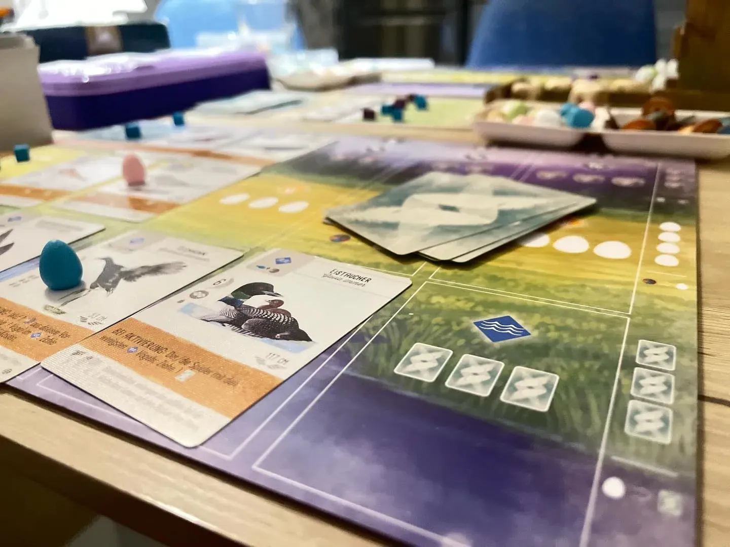 A Wingspan player mat with bird cards and eggs