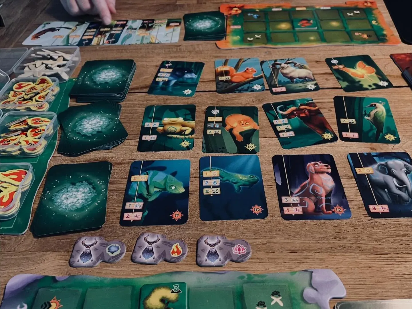 Mehrere Spielbereiche von Living Forest voller Tierkarten