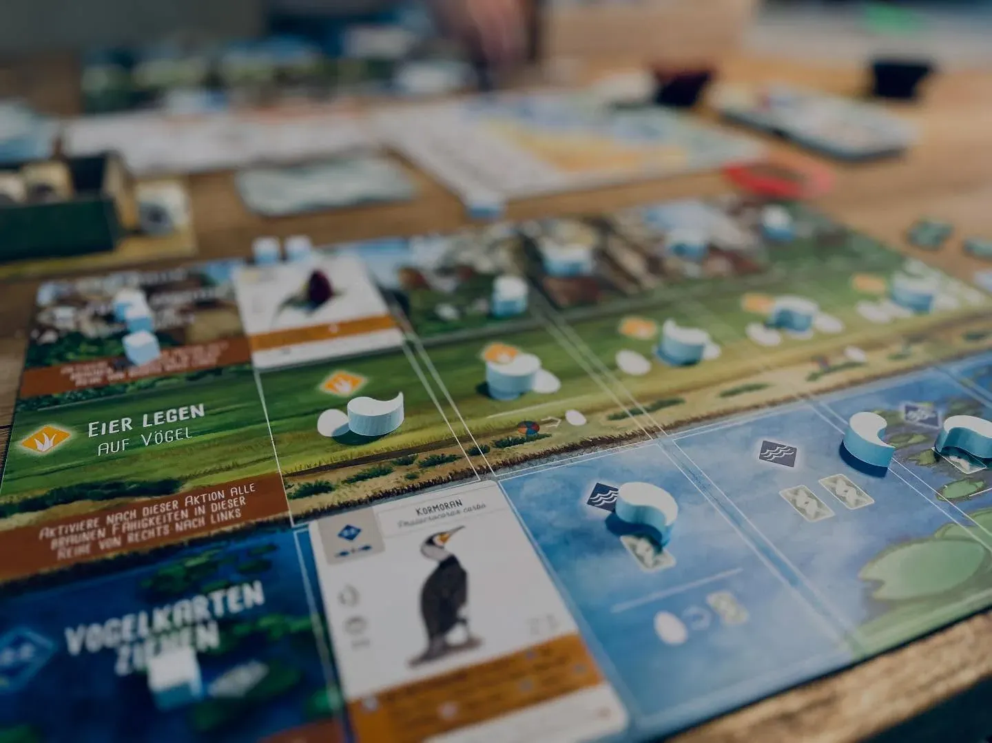 Spielertableau von Wingspan Asia mit Vogelkarten und Eiern